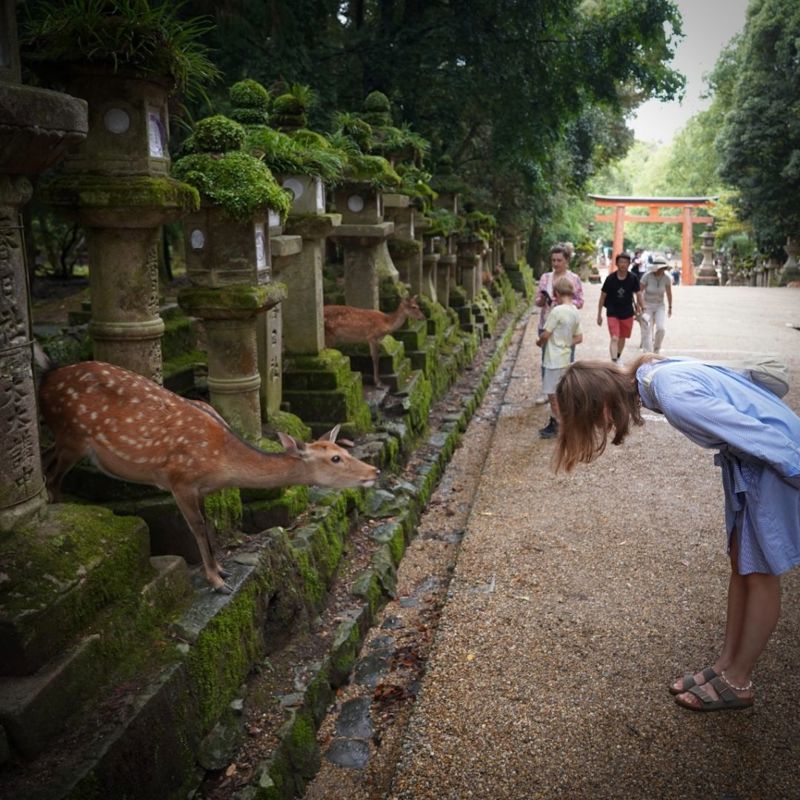 Nara